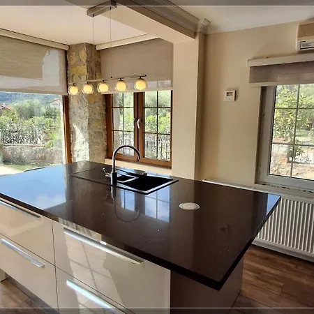 Crocus - Private 3 Bedroom In Ovacik * フェティエ